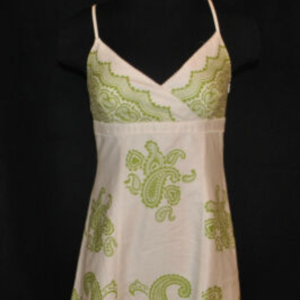 Ann Taylor Green and White Paisley Dress